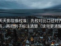 天天影院像校准：先校对比口径对齐吗，再把例子标注清楚（读完更清醒）
