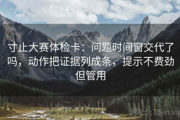 寸止大赛体检卡：问题时间窗交代了吗，动作把证据列成条，提示不费劲但管用
