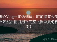 糖心Vlog一句话到位：盯前提有没有补齐然后把引用补完整（像做复句校对）