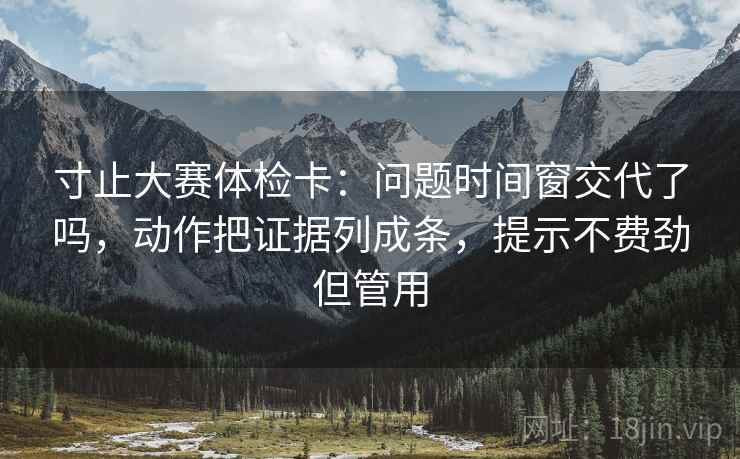 寸止大赛体检卡：问题时间窗交代了吗，动作把证据列成条，提示不费劲但管用